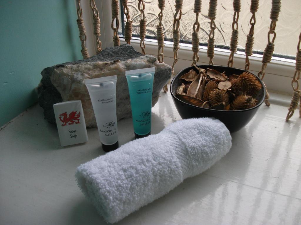 Bryn Llewelyn Bed & Breakfast Betws-y-Coed Room photo